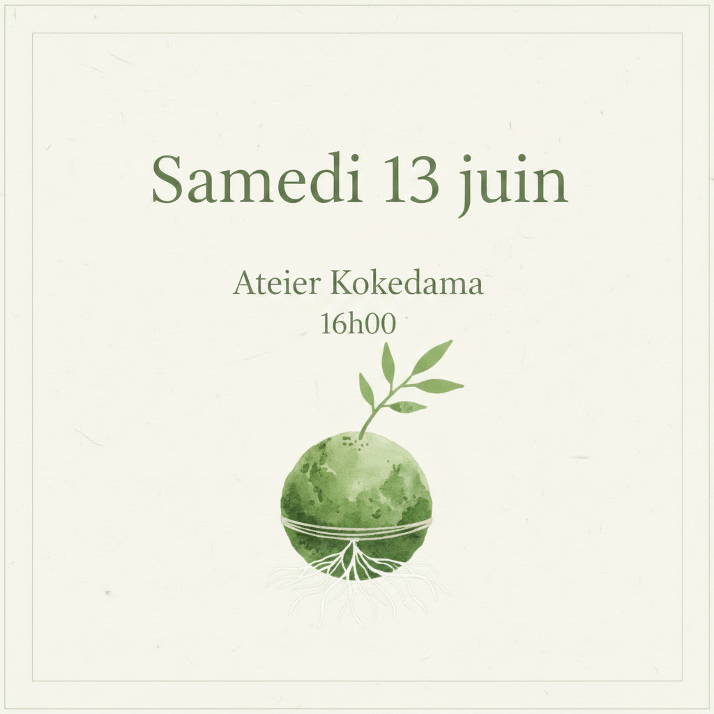Atelier Kokedama - Samedi 13 juin 16h