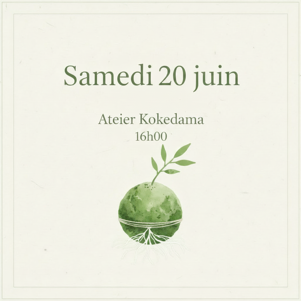 Atelier Kokedama - Samedi 20 juin 16h