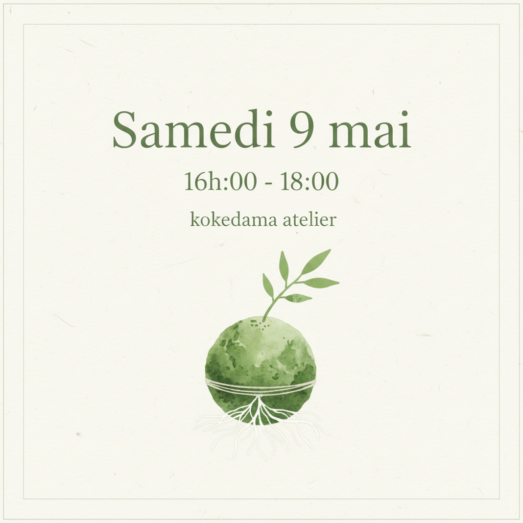 Samedi 9 mai - Atelier Kokedama